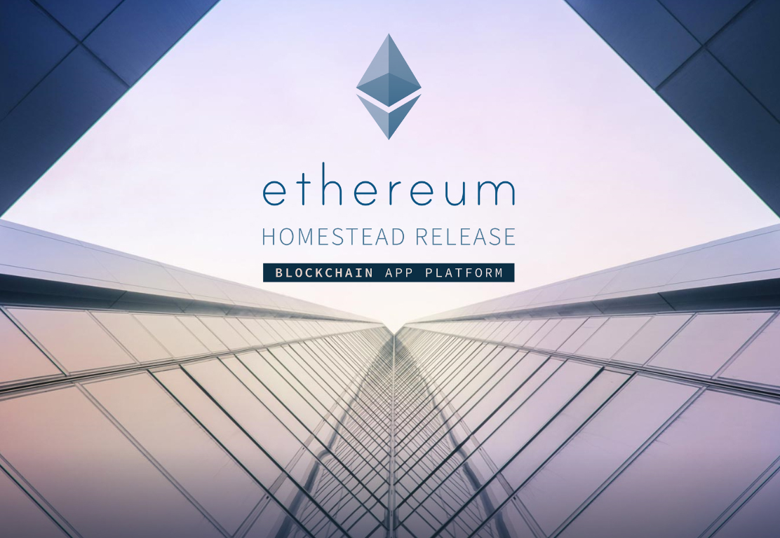 이더리움, 한달 새 반토막...가상화폐 투자주의보 < 국제 < 기사본문 - 뉴스웍스