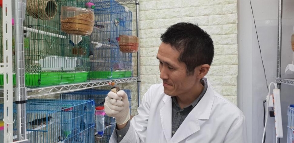 고시마 사토시 책임연구원이 명금류 사육실에서 어린 금화조를 관찰하고 있다. 사진제공=한국뇌연구원