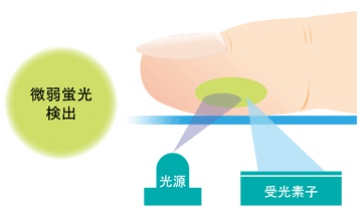 일본 샤프가 개발한 노화측정기 'AGEs 센서'
