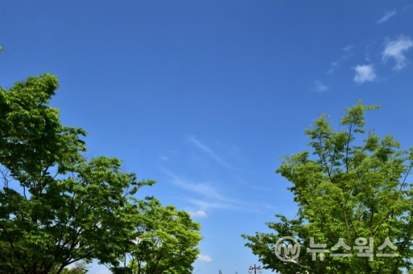 수원시는 온실가스·미세먼지 감축 정책을 수립해 시행하고 있다. 사진은 미세먼지 없는 푸른 하늘.