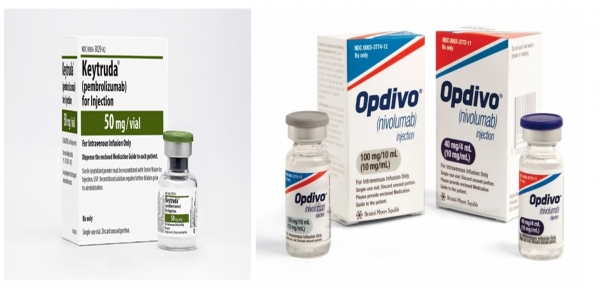 연구에 참여한 환자들이 사용한 면역항암제 제품들. 키트루다(왼쪽)와 옵디보.