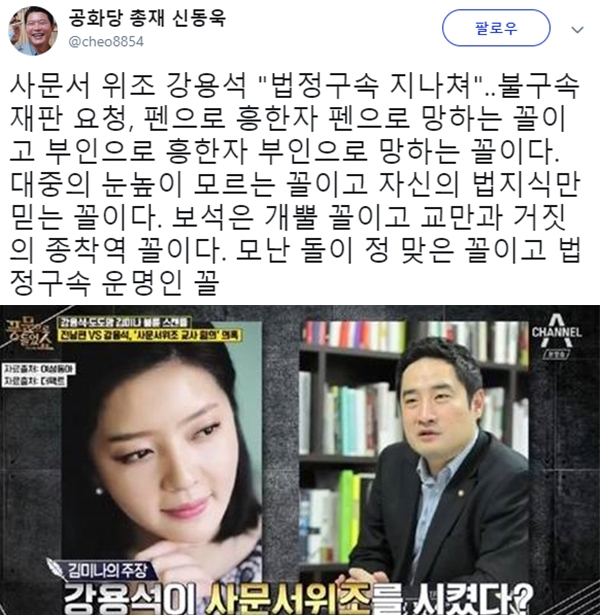 도도맘 김미나와 강용석 (사진=신동욱 SNS/채널A)