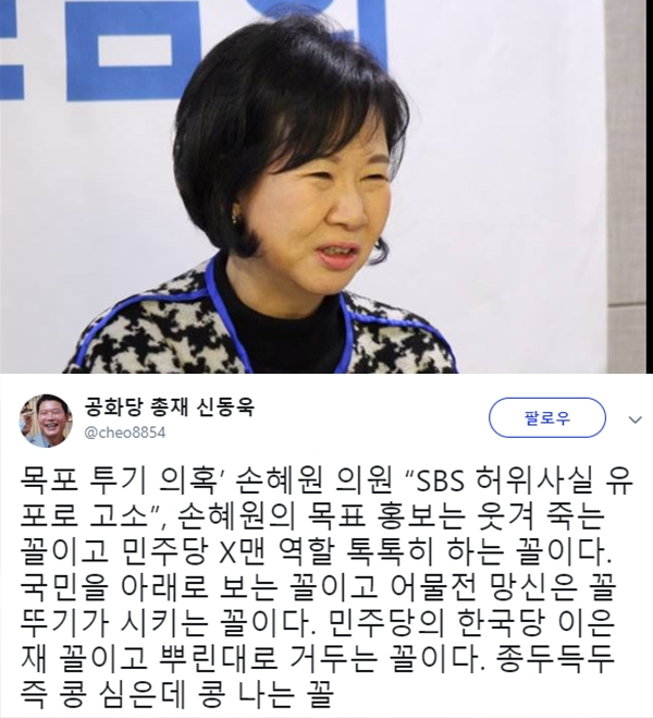 손혜원 의원 (사진=손혜원 의원 SNS/신동욱 SNS)