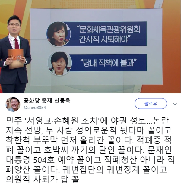 손혜원·서영교 의원 관련 민주당 판단과 신동욱 총재의 글이 눈길을 끈다. (사진=KBS/신동욱 SNS)