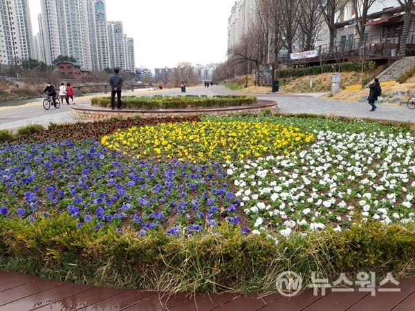 봄꽃으로 새롭게 단장한 안양천변 쌍개울 문화광장.(사진=안양시)