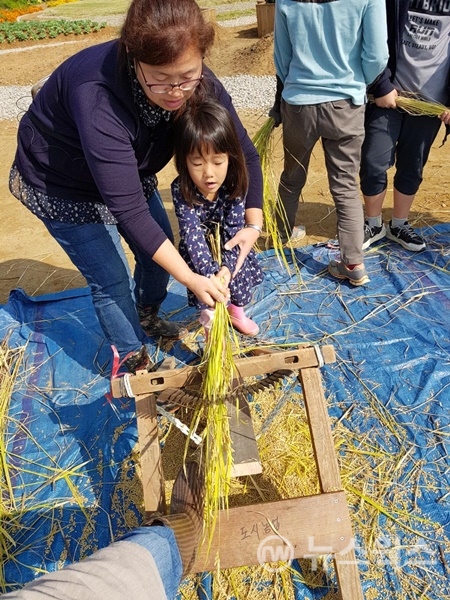 사진은 지난해 '어린이 농부학교' 벼수확체험 프로그램 운영모습.(사진=시흥시)