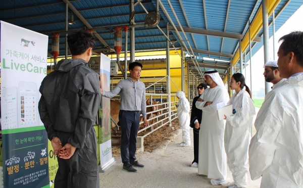 라이브케어’ 설명듣는 UAE 사이프 알 샤아라 차관보(오른쪽 네번째)