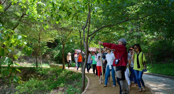 성주봉 자연휴양림 황토길 걷기를 체험하고 있다.  (사진제공=경북도)