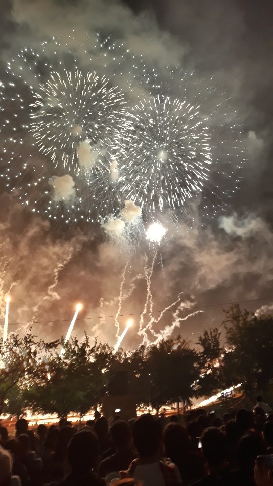 지난 5일 여의도 63빌딩 앞과 이촌지구 한강공원 일대에서 서울세계불꽃축제 2019가 열렸다. (사진=최승욱 기자)