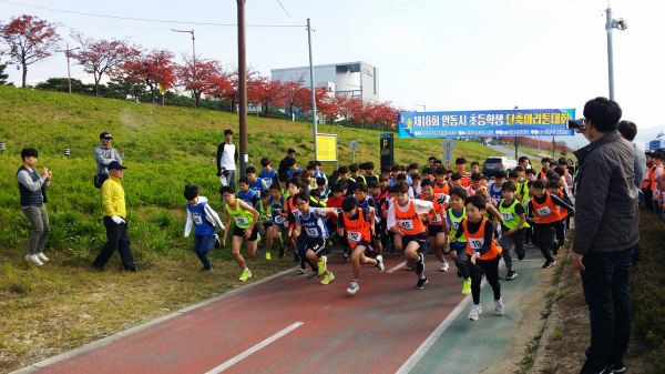 제19회 안동시 초등학생 단축 마라톤대회를 오는 21일 개최 한다.  (사진제공=안동시)