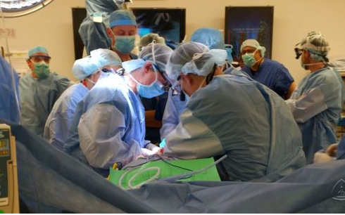 존스홉킨스 이식팀이 이식수술을 하고 있다(사진: 존스홉킨스대병원)