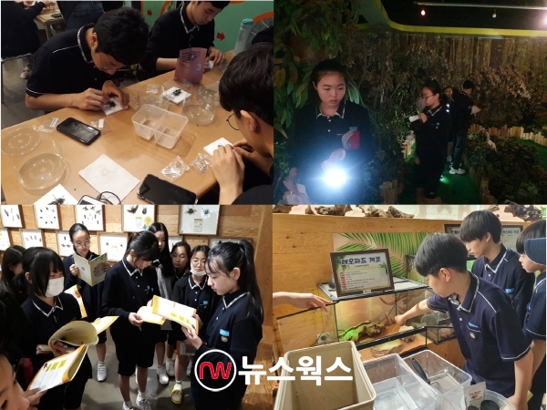 2019년 우수 청소년인증 수련활동으로 선정된 여주곤충박물관의 ‘곤충을 JOB아라~!’ (사진=여주곤충박물관)