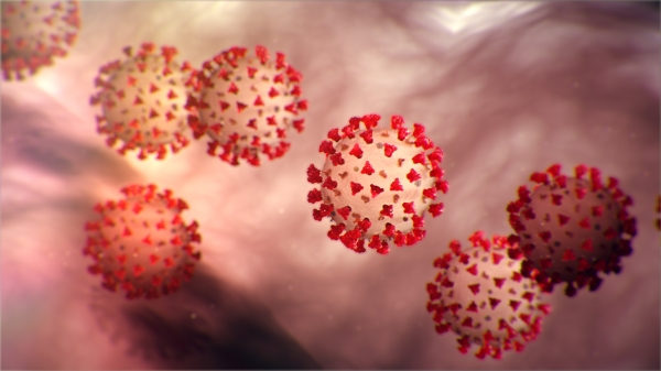 신종 코로나 바이러스(2019-nCoV)를 확대·그래픽화한 모습. (이미지=미국 질병통제센터(CDC)홈페이지)