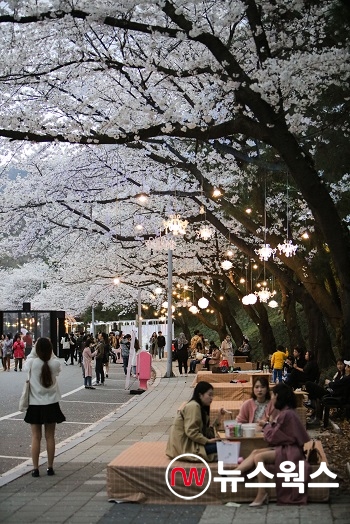 지난해 한국마사회 벚꽃축제 모습 (사진제공=한국마사회)