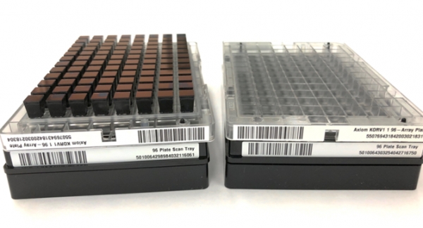 유전체센터가 만든 한국인유전체칩 제품. 한번에 96개 샘플을 분석할 수 있다.