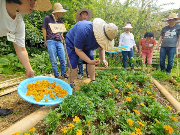 2019 드림위드 프로젝트 선정 단체 에버팜의 치유농장 프로그램 (사진제공=한국타이어)