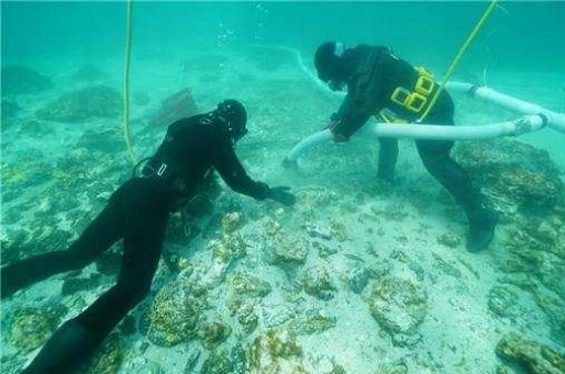 제1차 신창리 해역 조사 중 유물에 퇴적된 모래를 제거하고 있다. (사진제공=문화재청)