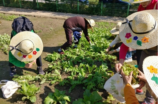 서울시농업기술센터에서 운영하는 치유농업 프로그램에 참여한 어르신들.(사진=서울시농업기술센터 블로그에서 캡처)