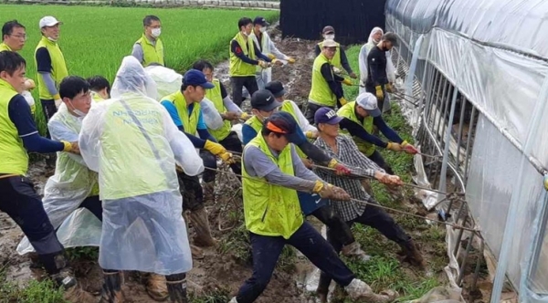 지난 11일 NH농협은행 중앙본부 임직원 50여명이 경기도 이천시를 방문해 폭우로 피해시설을 찾아 침수된 비닐하우스 복구 작업을 실시 중에 있다. (사진제공=NH농협은행)