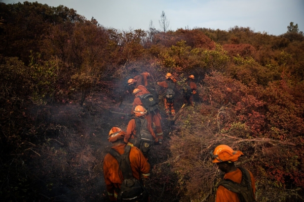 미국 캘리포니아주의 산불을 진화하기 위해 소방관들이 나서고 있다. (사진=뉴욕타임즈 홈페이지 캡처)