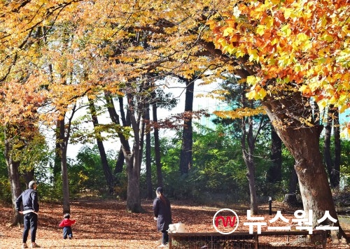 경기상상캠퍼스 잔디밭에서 어린이와 부모가 자유롭게 산책을 즐기고 있다(사진제공=수원시)