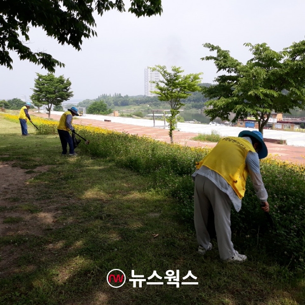 여주시니어클럽 회원들이 ‘남한강변 가꾸기’ 사업에 참여하고 있다. (사진제공=여주도시관리공단)
