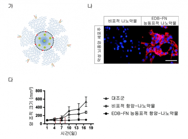 (가) 개발 EDB-FN 능동표적 항암-나노약물의 모식도. (나) 붉은색 형광체를 포함한 비표적 나노약물 비교, EDB-FN 능동표적 나노약물의 향상된 악성 뇌종양 약물 전달능 확인 결과(스케일바 = 100 μm). (다) 비표적 항암-나노약물 비교, EDB-FN 능동표적 항암-나노약물의 향상된 암 억제능 확인 결과