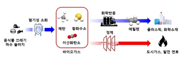 KIST, 바이오가스서 '에틸렌 생산·황화수소 제거' 기술 개발