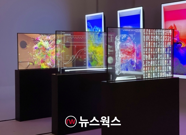 LG디스플레이가 세계적 미디어 아티스트 레픽 아나돌과 협업해 만든 첫 번째 투명 OLED NFT 작품. (사진제공=LG디스플레이)