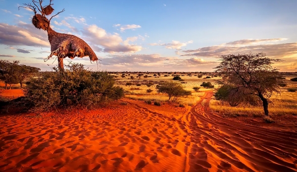 '칼라하리 사막'의 모습. (사진=월드 아틀라스 홈페이지 캡처)