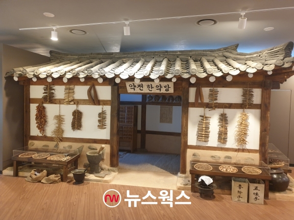 한의약박물관 내에 있는 '약전한약방'을 재현해 놓은 건물. (사진=원성훈 기자)