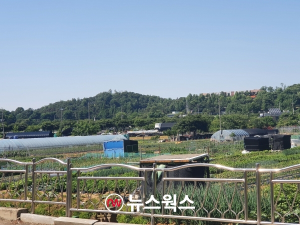 인천계양 신도시가 들어설 박촌역 근처 부지. (사진=전현건 기자)