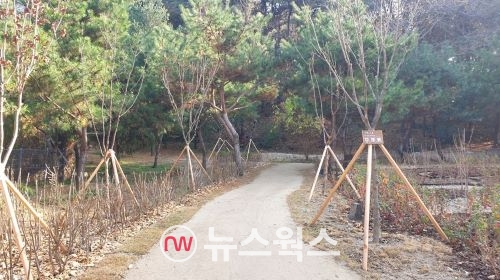 친환경 생태숲으로 복원된 숙지공원(사진제공=수원시)