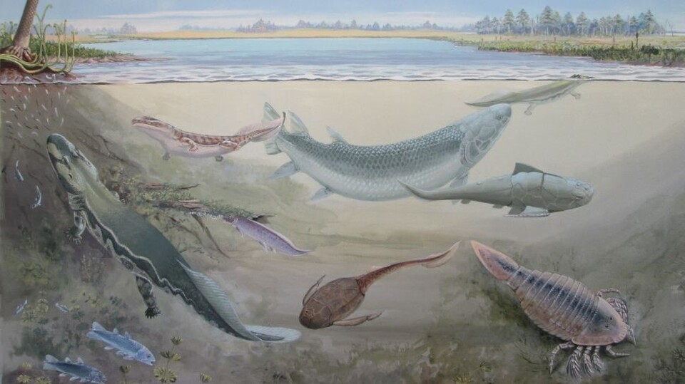 거대 4족류 어류를 포함해서 다양한 해양 생물이 남아공 워털루 농장에서 발견됐다. (사진제공=플로스원)