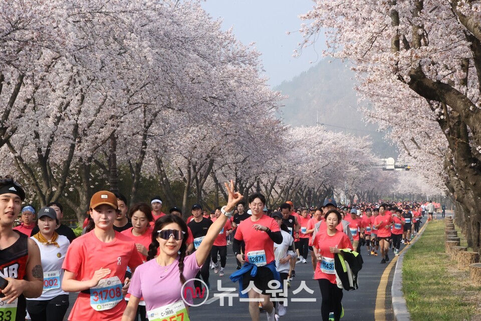1만969명의 참가자들이 벚꽂이 만개한 보문호반을 따라 달리며 완연한 봄 정취를 즐기고 있다. (사진제공=경주시)
