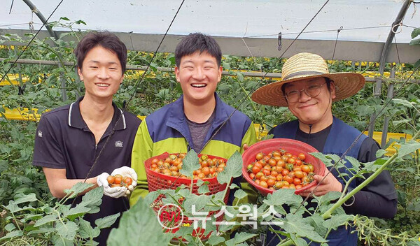 농업회사법인(주)팜팜의 직원들이 수확한 토마토를 들고 기념 촬영을 하고 있다. (사진제공=쿠팡)