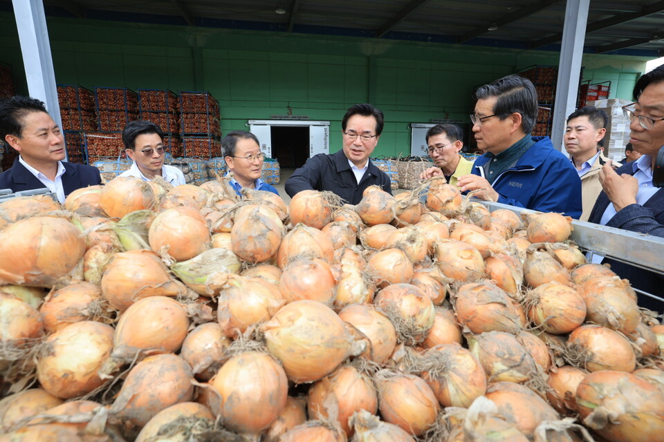 정황근(가운데) 농림축산식품부 장관이 지난 15일 경상남도 함양군을 찾아 수확된 양파를 살펴보고 있다. (사진제공=농림축산식품부)