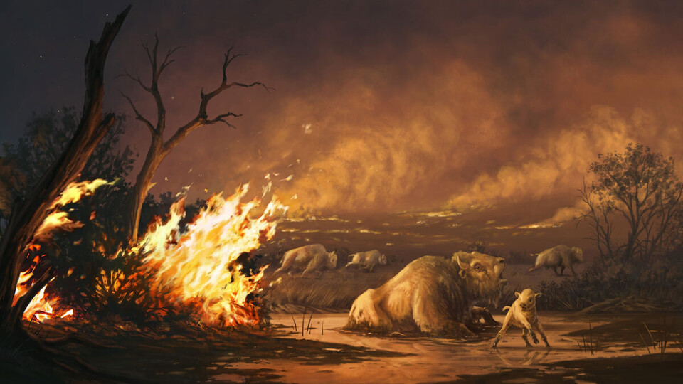 1만3000년전 캘리포니아 남부에서 벌어진 거대 포유류 멸종사건의 원인은 바로 인류가 놓았던 들불이었다. (사진제공=사이언스)