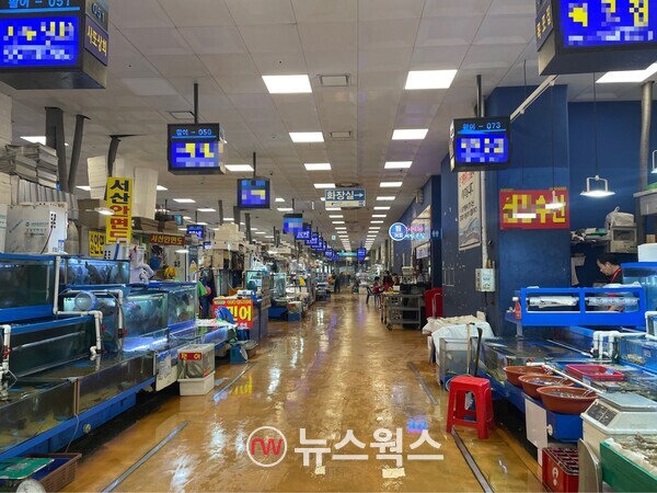 지난 11일 서울 동작구 노량진 수산시장에는 수산물을 구입하려는 손님을 좀처럼 찾아볼 수 없었다. (사진=김다혜 기자)