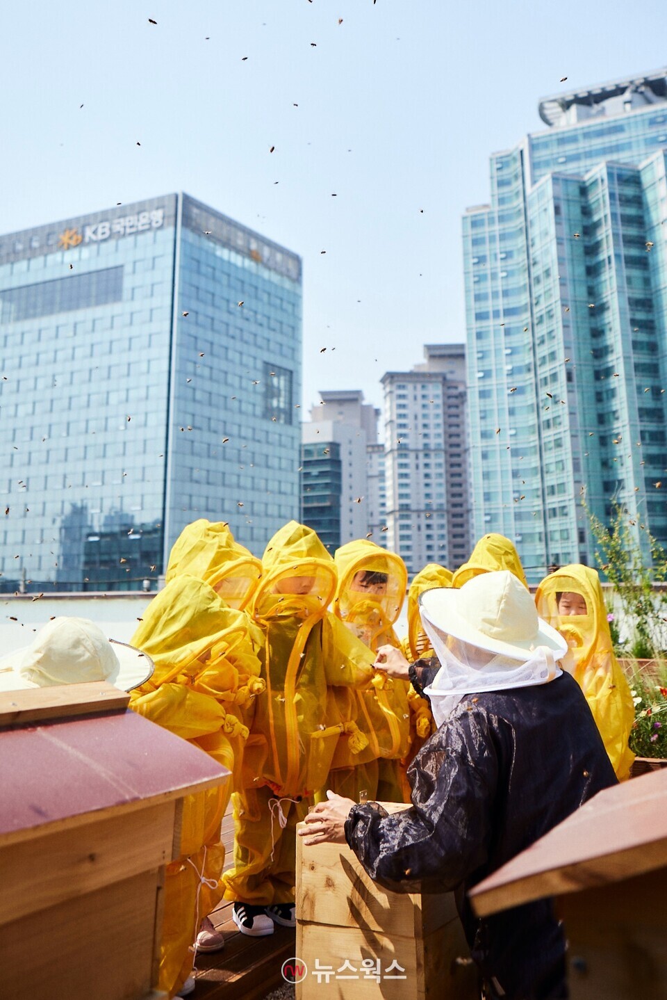 KB금융그룹 직원 가족들이 KB국민은행 본관 옥상에 설치된 ‘K-Bee’ 도시 양봉장에서 벌 키우기 체험 활동을 하고 있다.(사진제공=KB금융지주)