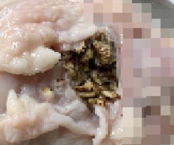 애벌레가 발견된 하림의 생닭 제품. (출처=온라인 커뮤니티)