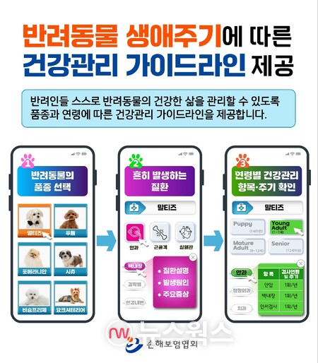 (사진제공=손해보험협회)