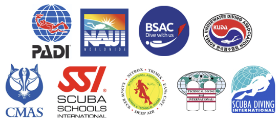 세계적으로 다양한 스쿠버다이빙 관련 기관과 단체가 활동하고 있다.