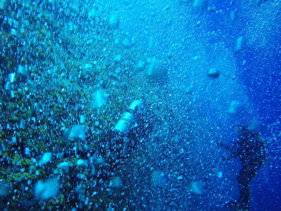 펠렐리우 바닷속은 거세고 다양한 조류가 만나는 곳으로 조류의 방향을 잘 파악해야 한다. 조류로 인해 공기방울의 파열이 넓게 펼쳐진다. (사진제공=곽상희 강사)