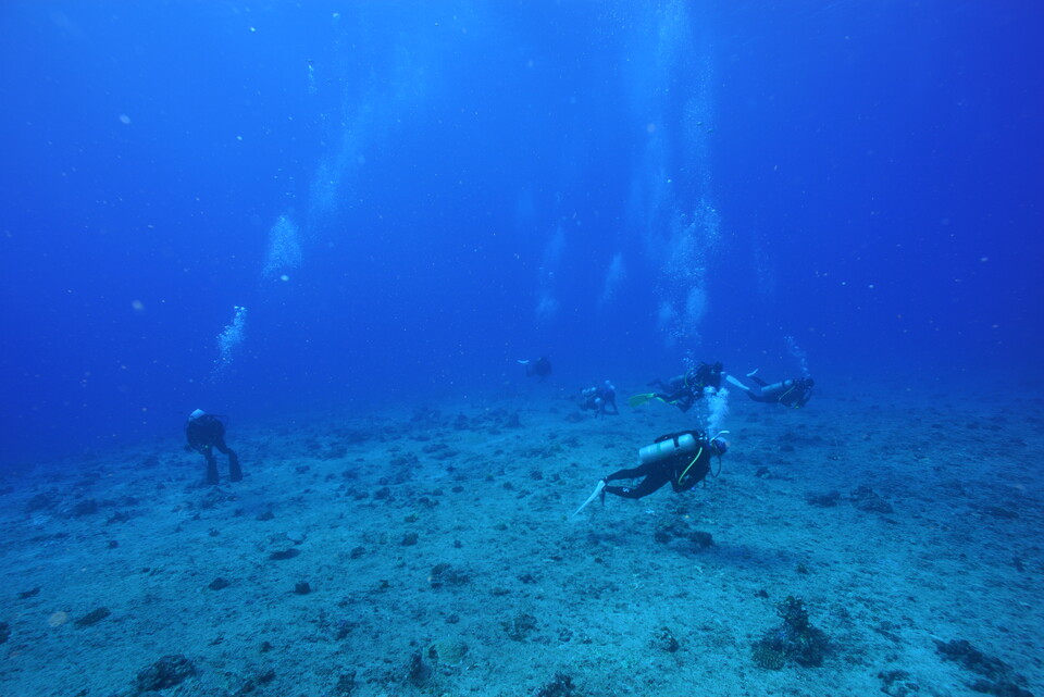 드리프트 다이빙(Drift diving)이라고 불리우는 조류다이빙은 조류가 흐르는 방향으로 몸을 맡긴 채 쭈욱 흘러가는 다이빙이다. 가급적 바닥에 바짝 붙어 조류에 몸을 맡겨야 한다. (사진제공=곽상희 강사)