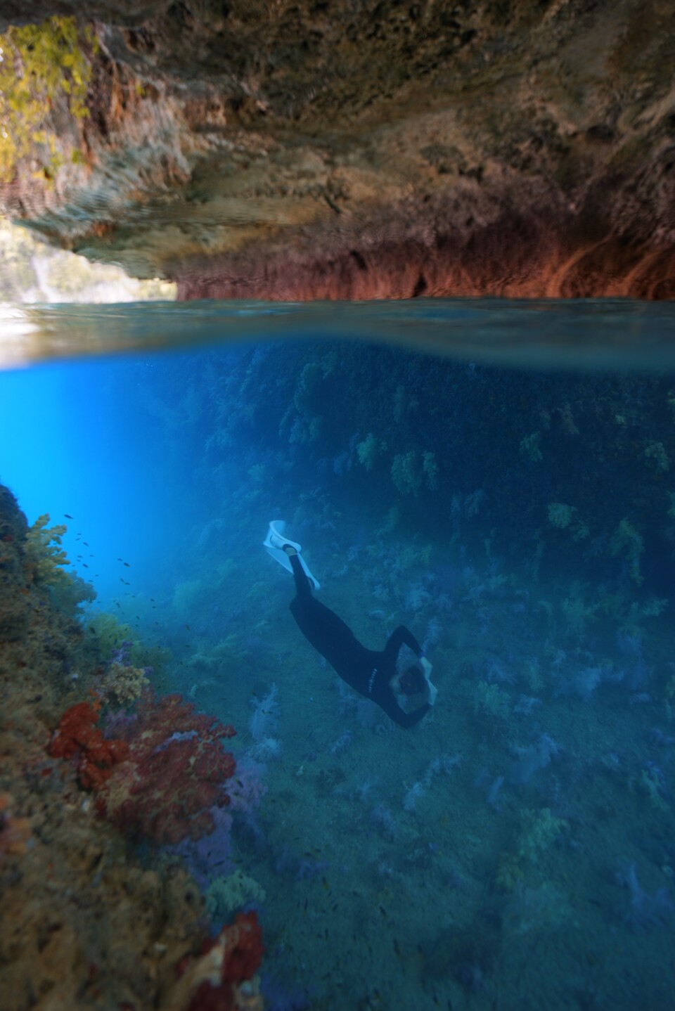 비밀의 산호정원에서 수면 수중 모습. 그 속에서 프리다이빙을 즐기는 다이버. (사진제공=곽상희 강사)