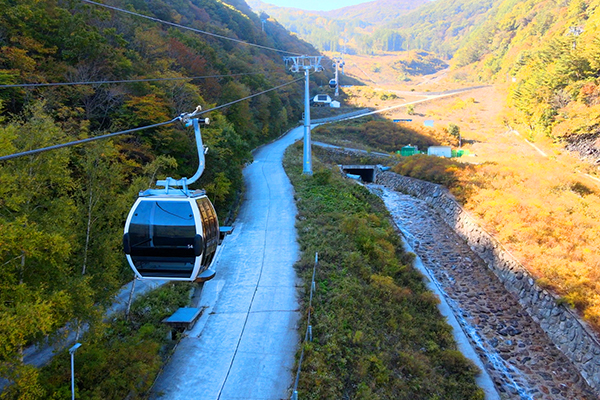 2018년 평창동계 올림픽 알파인 스키장으로 쓰였던 가리왕산에 케이블카를 설치했다. (사진제공=정선군)