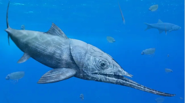 극강의 '주걱턱 물고기'가 발견됐다. (출처=영국 왕립학회)