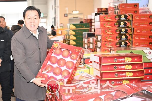 수원시 농수산물도매시장을 방문한 이재준 시장이 사과 상자를 들어보고 있다. (사진제공=수원시)