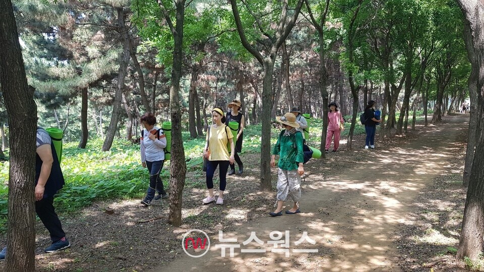 숲을 걷고 있는 시흥시민들 모습. (사진제공=시흥시)